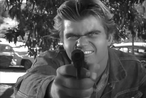 arch-hall-jr-the-sadist