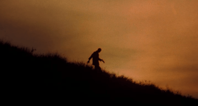 Incredible Melting Man 3