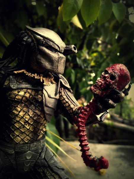 predator_with_skull_by_tomzj1-d387d6e