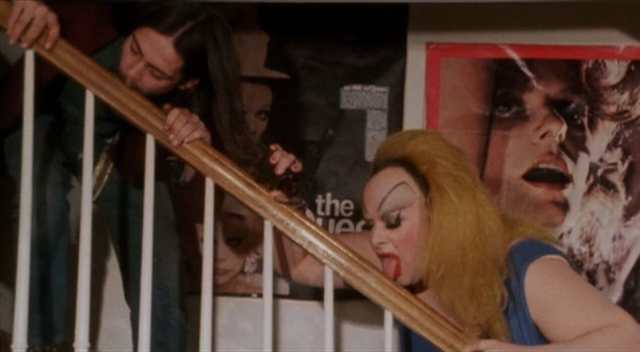 PinkFlamingosLicking