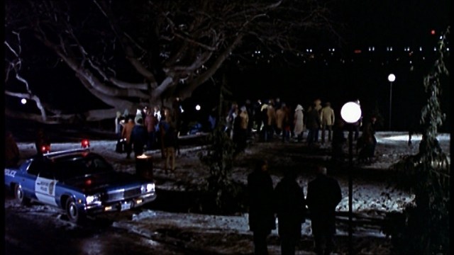 TheParkSearch3BlackChristmas