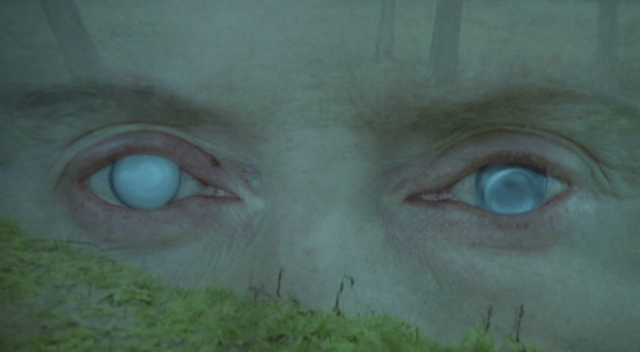 eyes