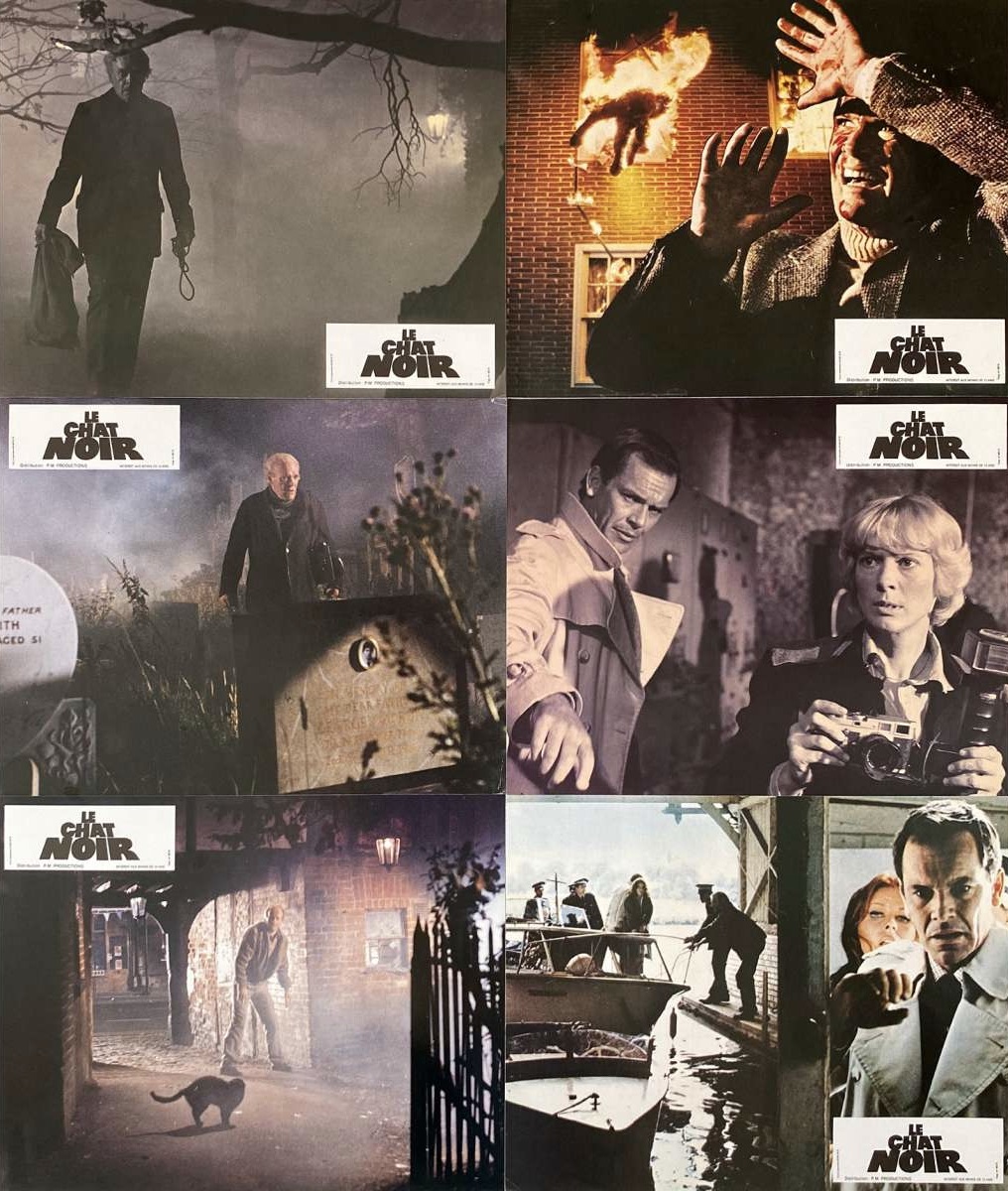 3231E1CA-5365-4890-8F84-AA8095B67016_1_201_a