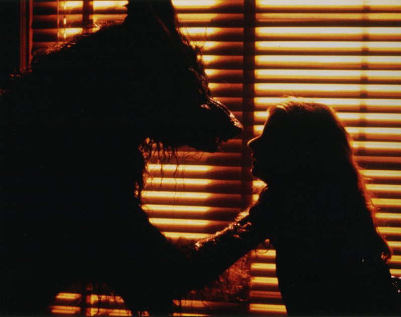 353440E0-5DC2-4593-9D45-DD2F91498F90